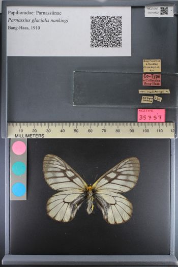 Media type: image;   Entomology 210422